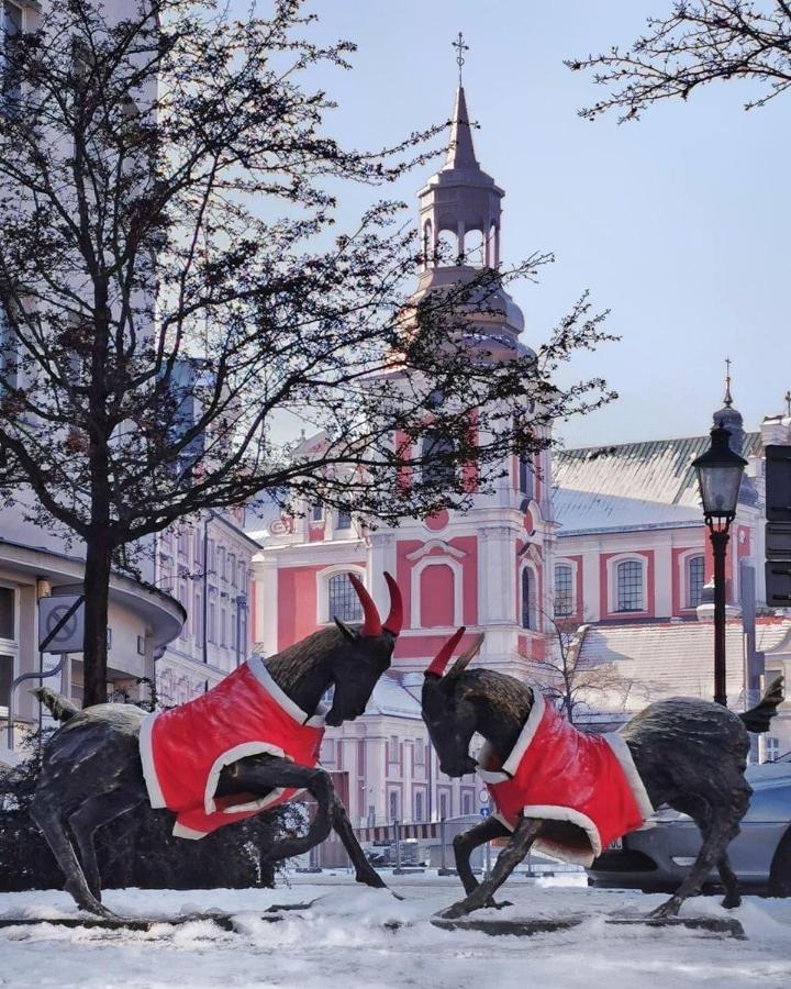 Chillout Polna - Parking Leilighet Poznań Eksteriør bilde
