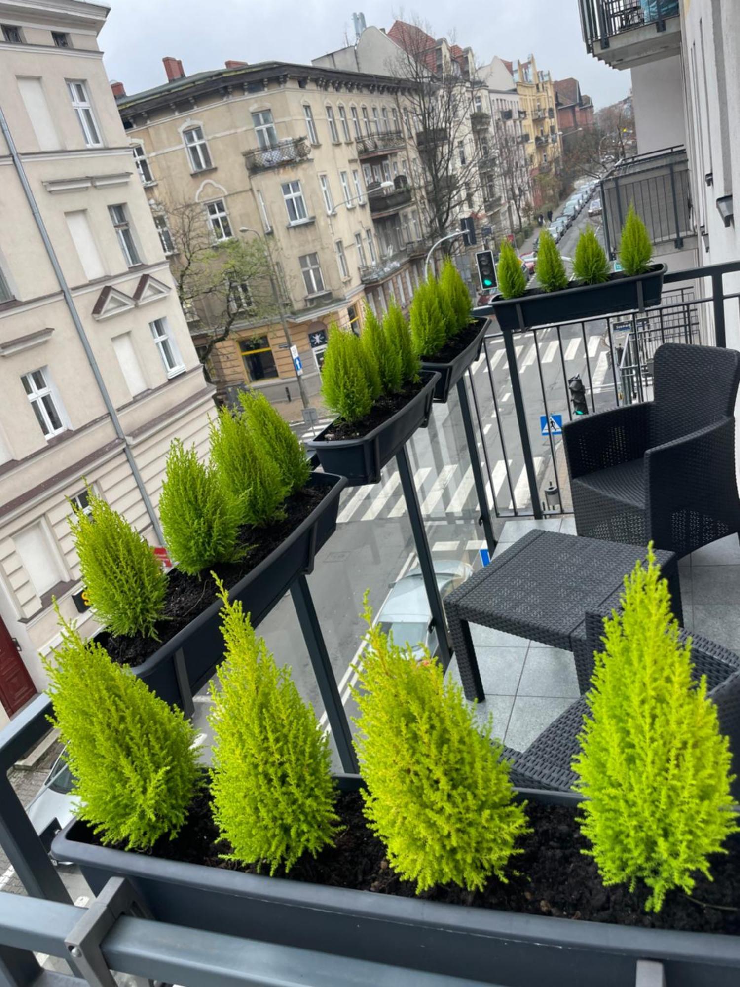 Chillout Polna - Parking Leilighet Poznań Eksteriør bilde